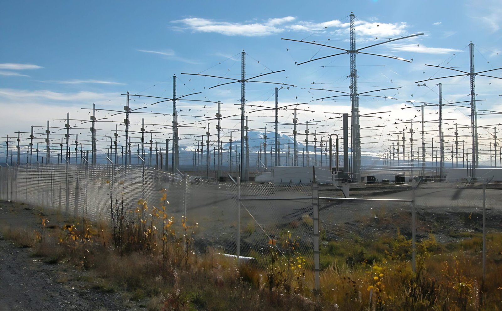 HAARP